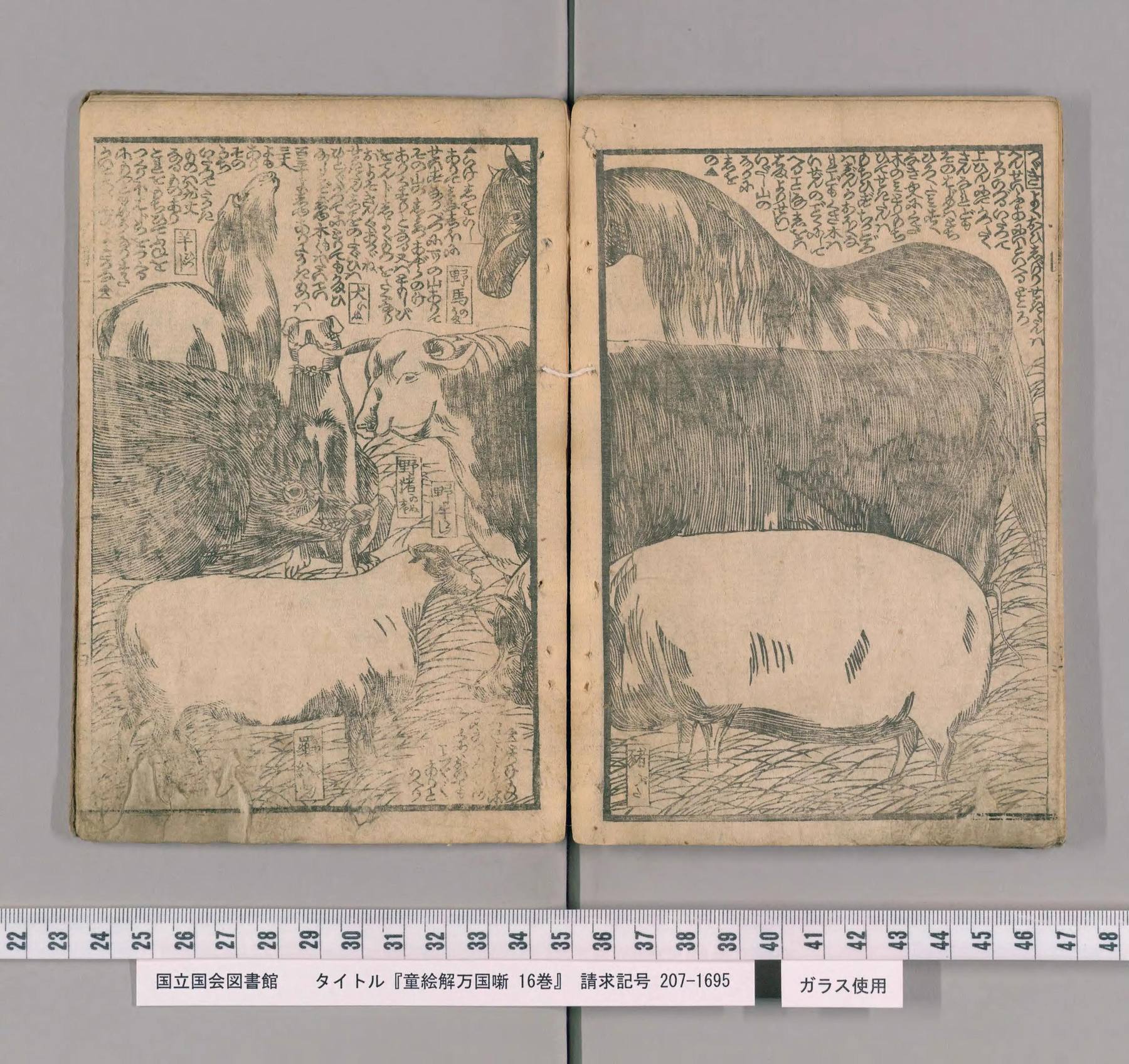Scan of the spread: lower volume, leaves 13–14