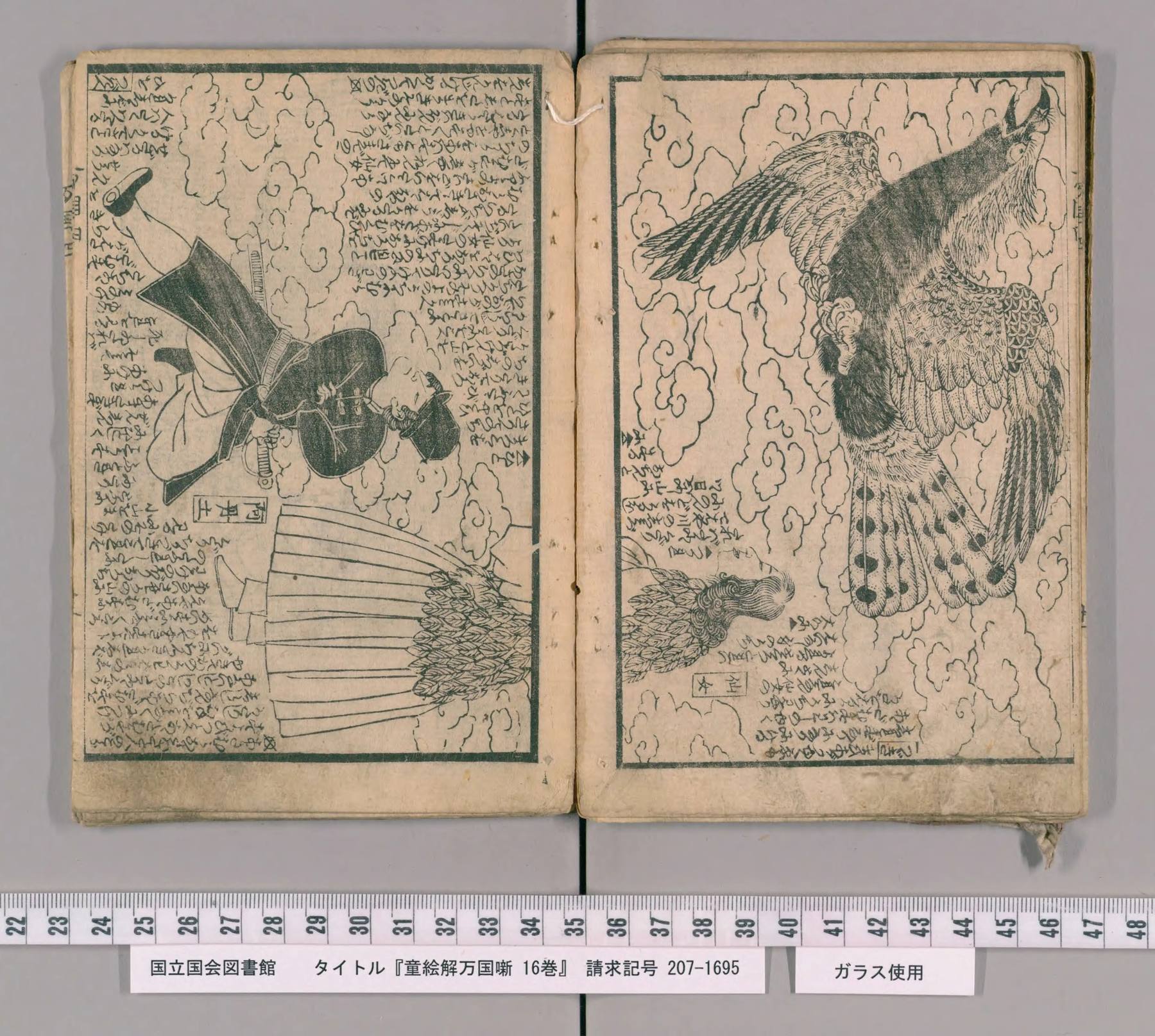 Scan of the spread: leaves 12–13